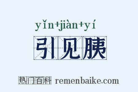 引见胰是什么意思的图片